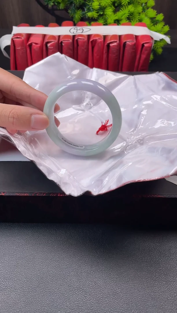 未镶嵌手镯翡翠9921