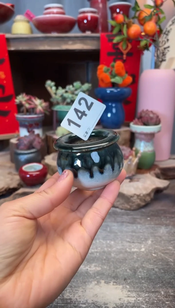 【闪购商品】摆件142知木小芳花盆