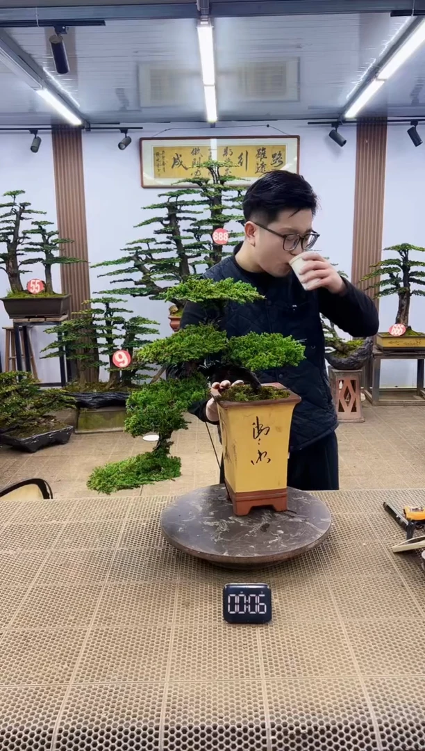 【闪购商品】一物一拍，所见即所得