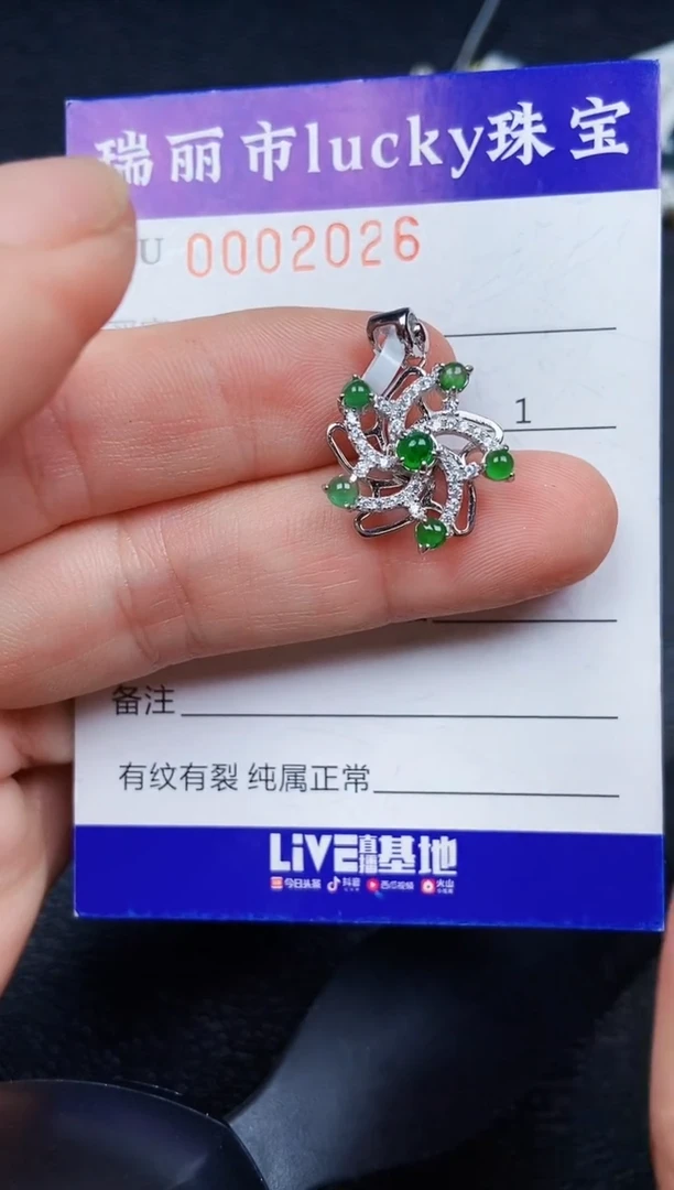 翡翠银S925镶嵌颈饰2026