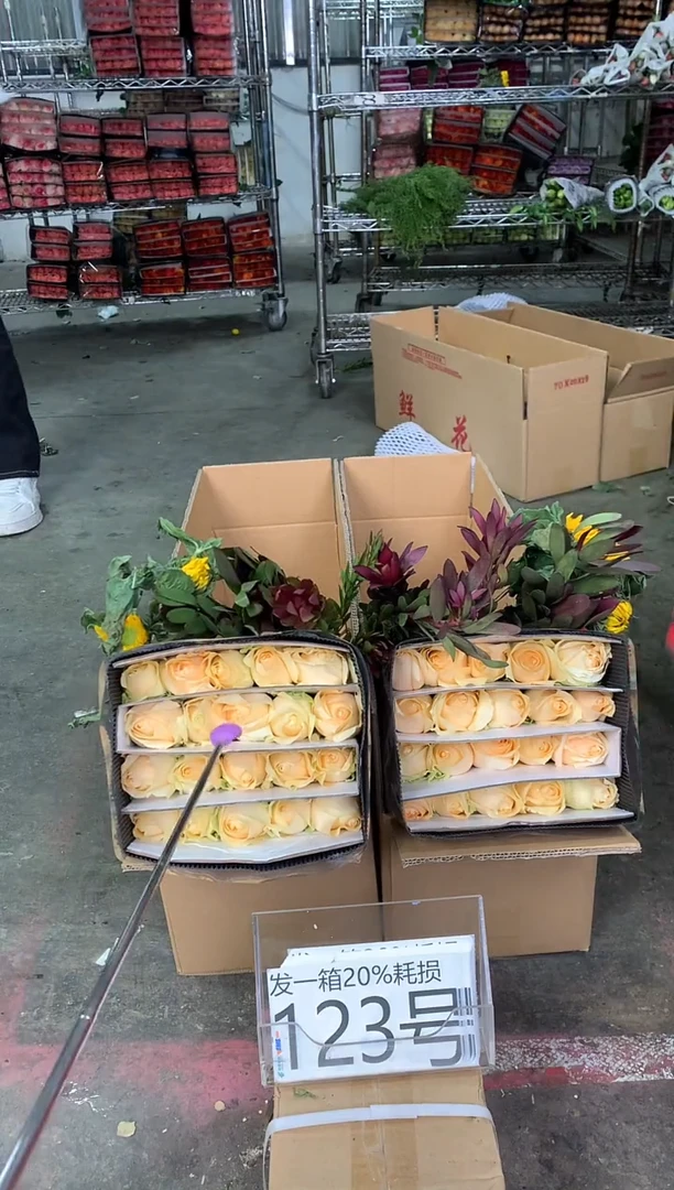 123号♥中通含20%耗损发一箱