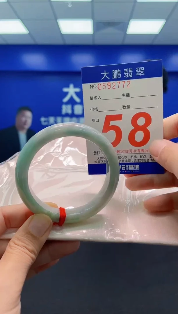 未镶嵌手镯翡翠AAAAAAAAA