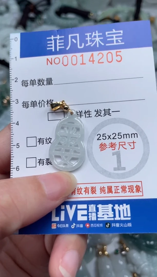 颈饰未镶嵌翡翠14205