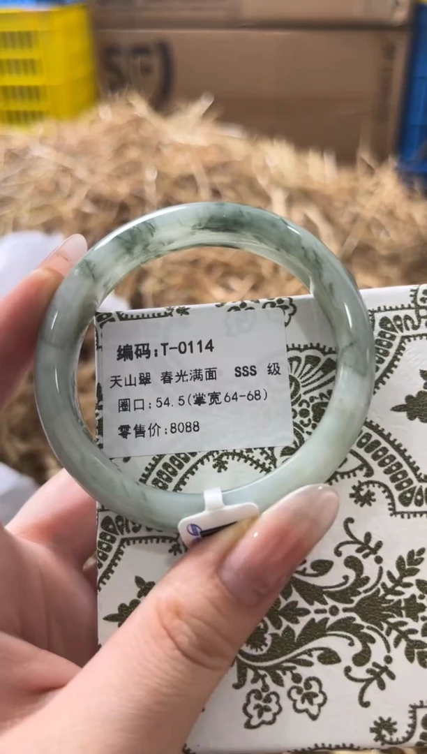 未镶嵌手镯石英质玉T-0114