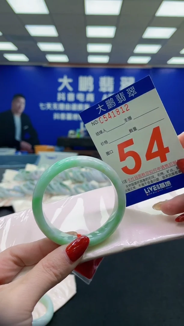 未镶嵌手镯翡翠AAAAAAAAAA