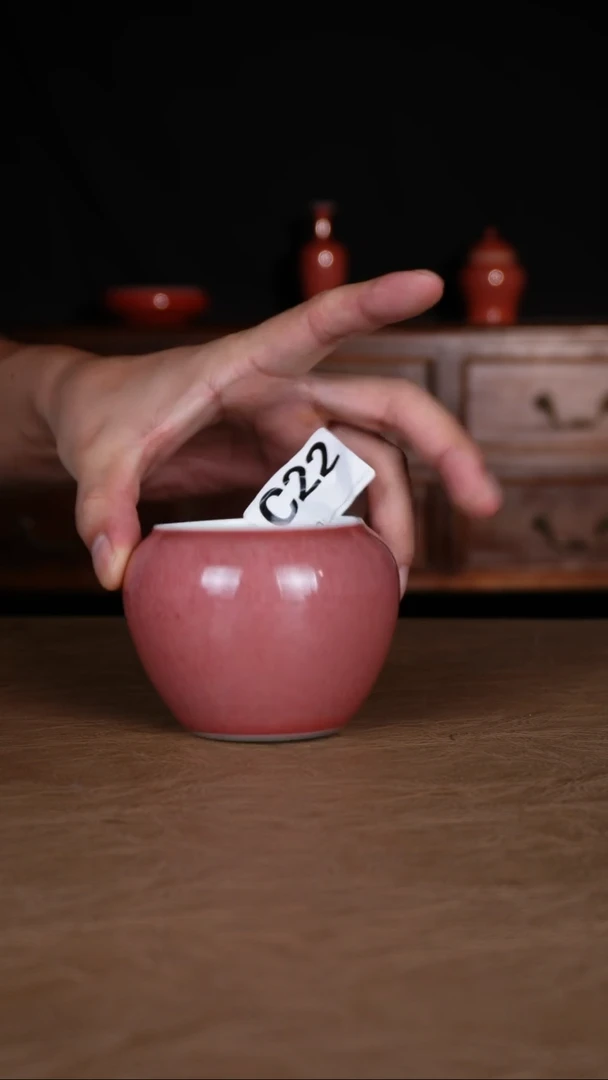 瓶豇豆红景德镇纯手工陶瓷