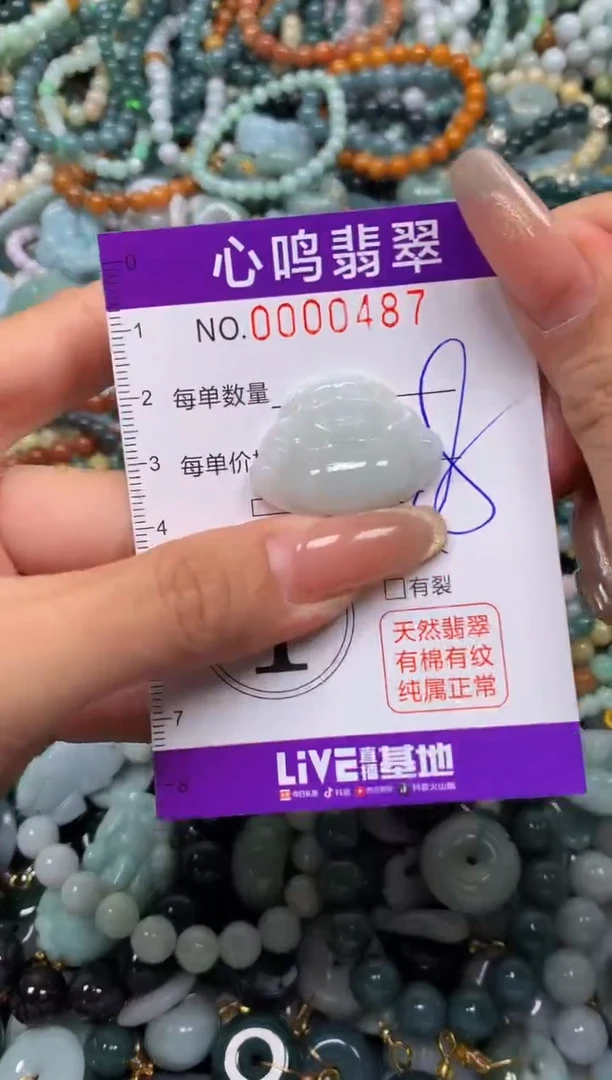 颈饰未镶嵌翡翠闪购00487
