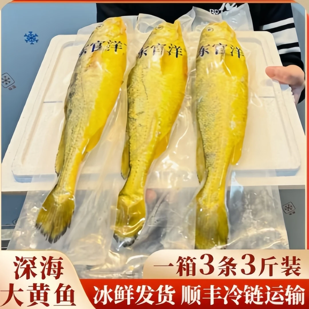 【直播推荐】真正宁德深海大黄鱼，一箱3条3斤装，无土腥味无泥腥味，顺丰包邮炸鱼海鲜黄花鱼