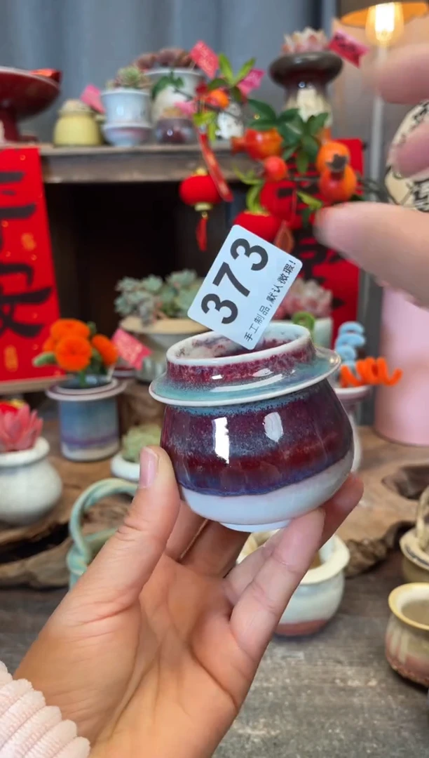 【闪购商品】摆件373知木小芳花盆