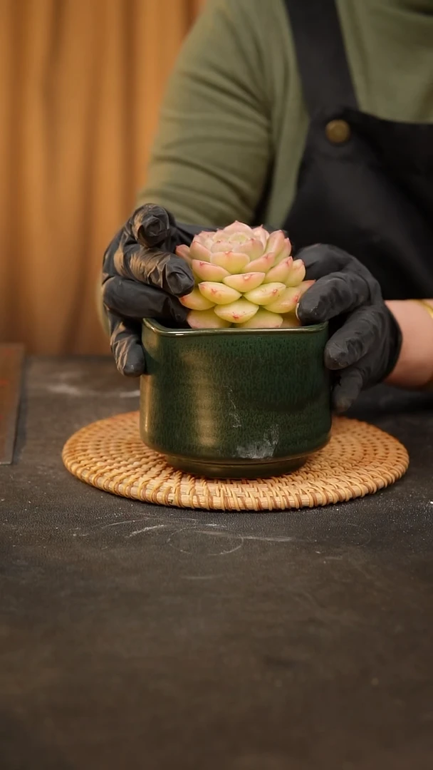 【闪购商品】瓷片泥泥陶瓷花盆