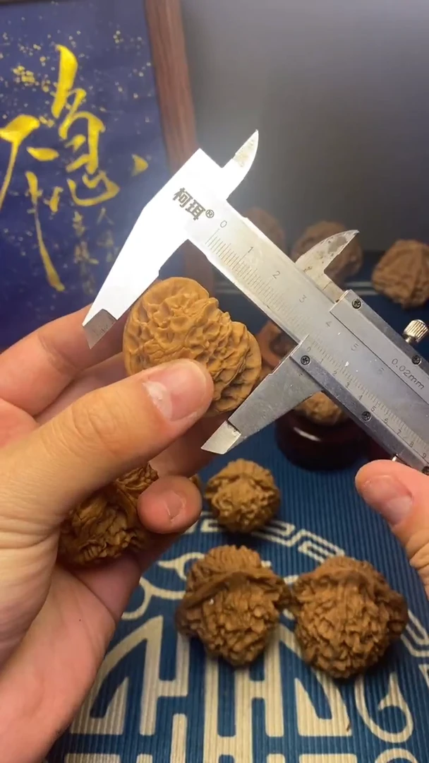 手串/手链贝壳文玩核桃尺寸（fffff付）