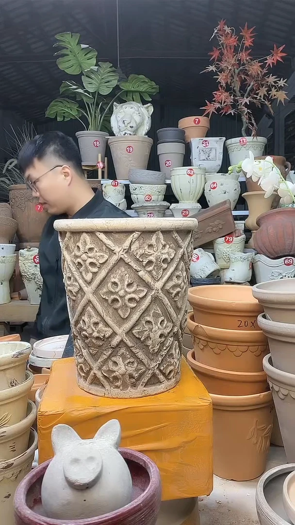 【闪购商品】缸17*21盆在在在在在 在在大在