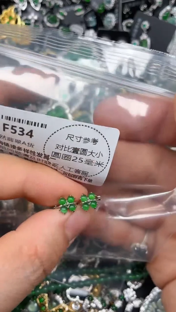 颈饰未镶嵌翡翠F534耳扣