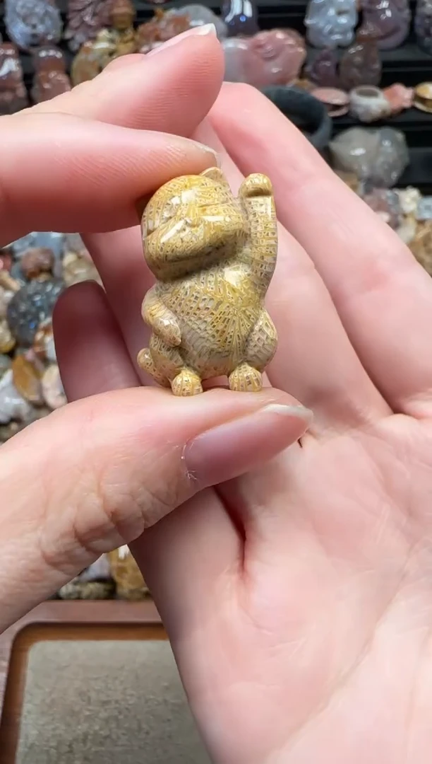 颈饰未镶嵌硅化珊瑚（珊瑚玉）767
