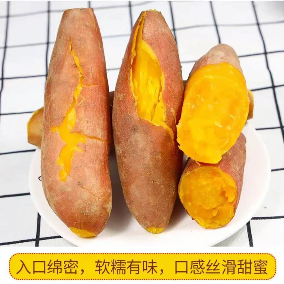 5斤新鲜现挖现发龙九蜜薯软糯香甜农家自种蒸煮烤