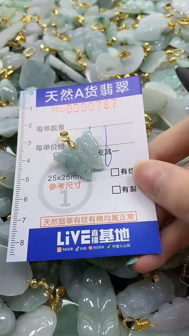 颈饰未镶嵌翡翠纯天然a货翡翠