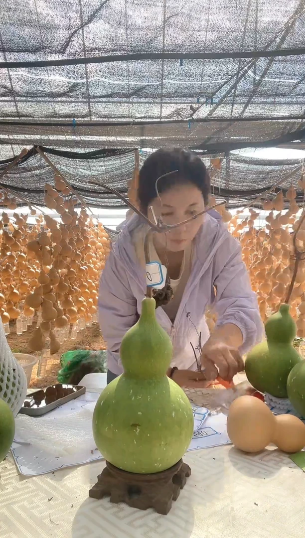 077天然葫芦摆件 一物一拍