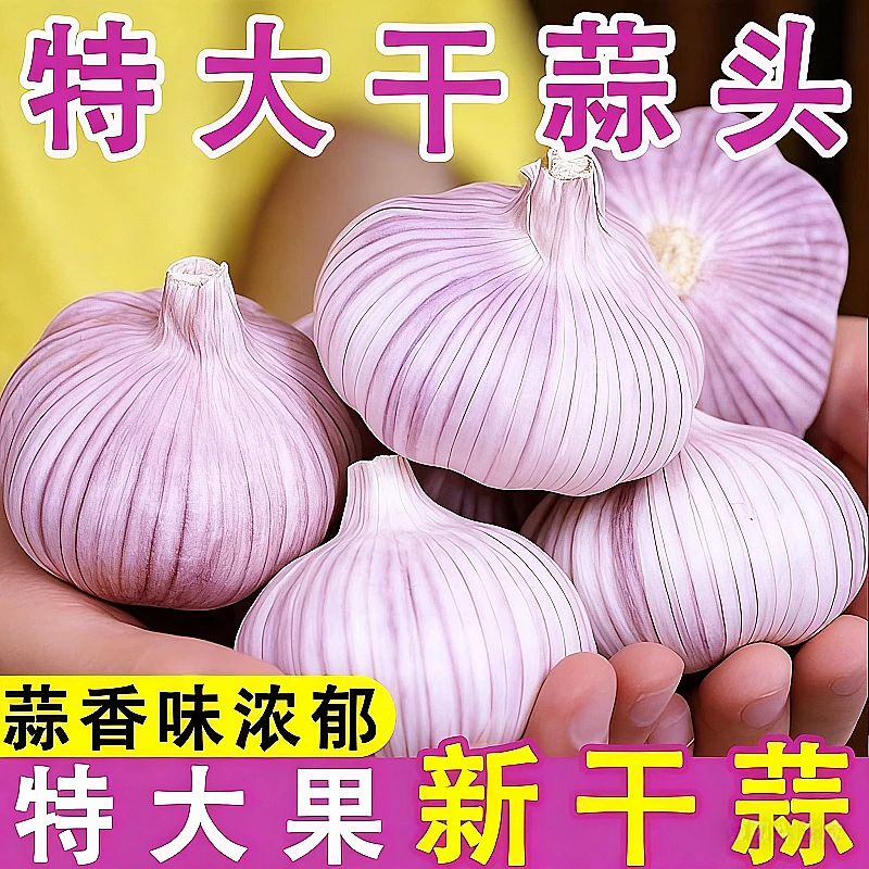 5斤特大干蒜】山东紫白皮大蒜头新干蒜大蒜大蒜头批发整箱新干大蒜