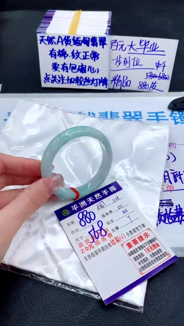 未镶嵌手镯翡翠11111