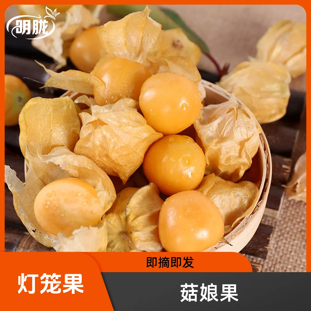 云南西双版纳姑娘果大菇娘果香甜超甜南方灯笼果新鲜特大果水果
