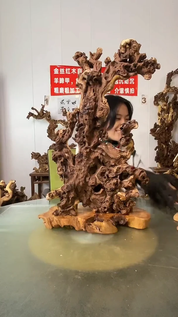 香榧木翠***玩金丝红木 羊蹄甲2