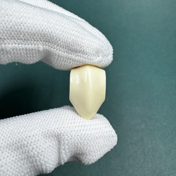 M1562天然猛犸牙玉龙6A三通 支持鉴定 假一罚四