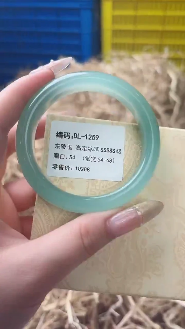 未镶嵌手镯石英质玉DL-1259