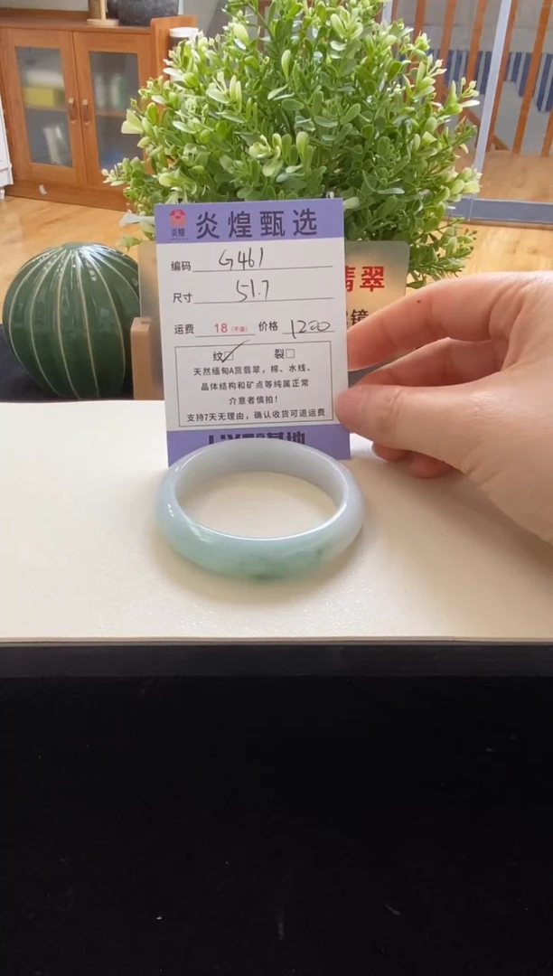 未镶嵌手镯翡翠圈口51.7编码g461