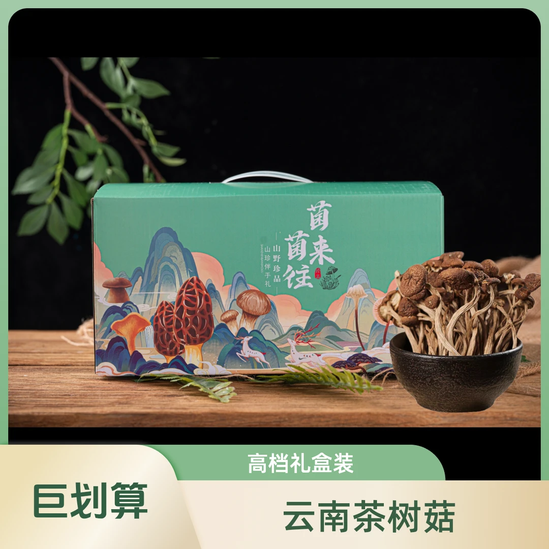 2025年中秋礼盒云南特产茶树菇干货礼盒装散装正品炖汤材料蘑高档