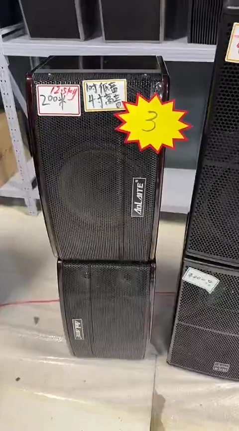 95新10寸卡包箱一对+1018功放一台+903话筒一套   1160不包邮