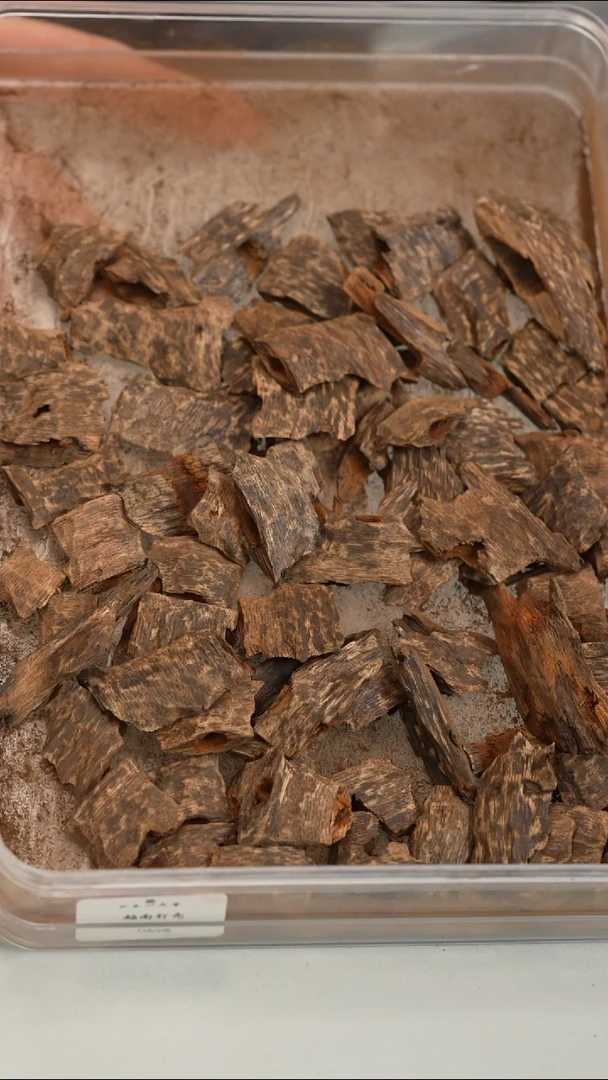 沉香沉香碎屑越南钉壳料 5g 多样性发一