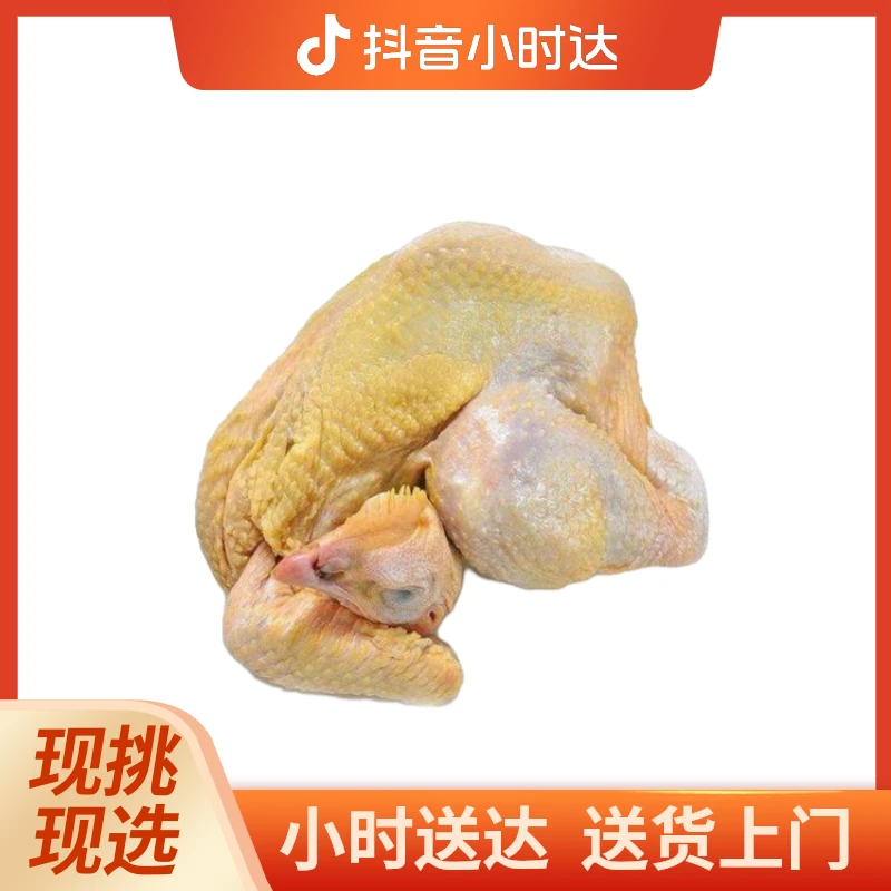 小子鸡（默认砍）