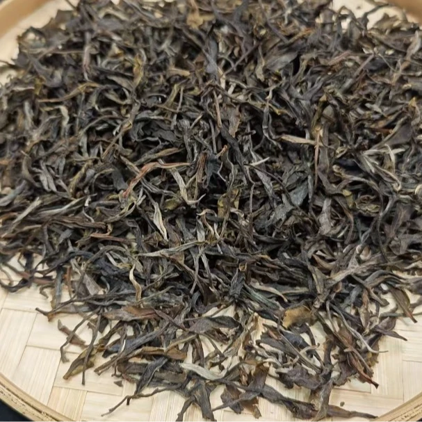 2月28日 250克 24年背阴山 生茶散茶 T1372