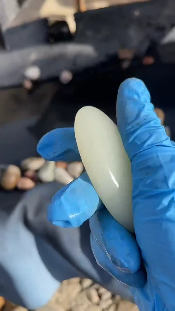 颈饰未镶嵌和田玉（糖玉）001