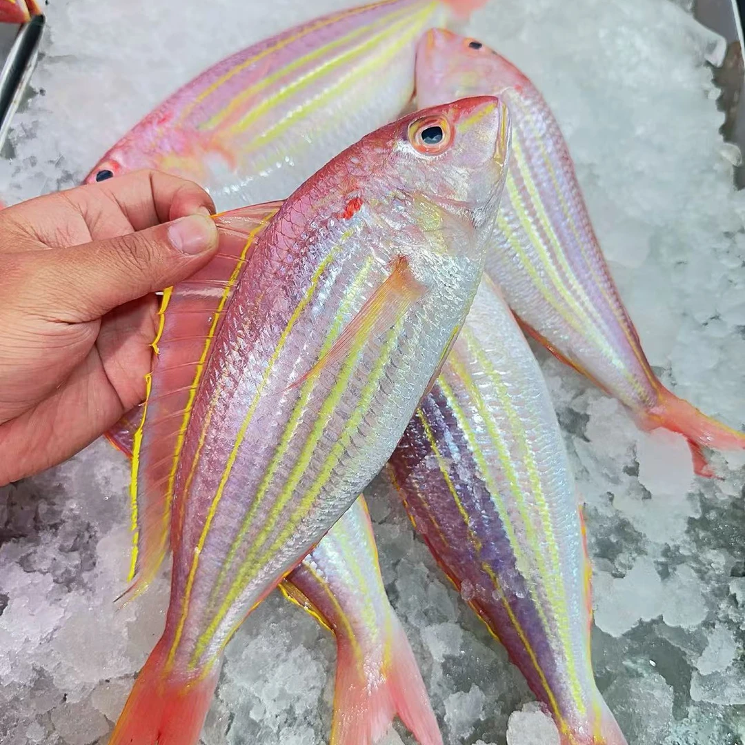 野生金丝鱼（3条-4条/斤）刀里鱼新鲜速冻顺丰冷链