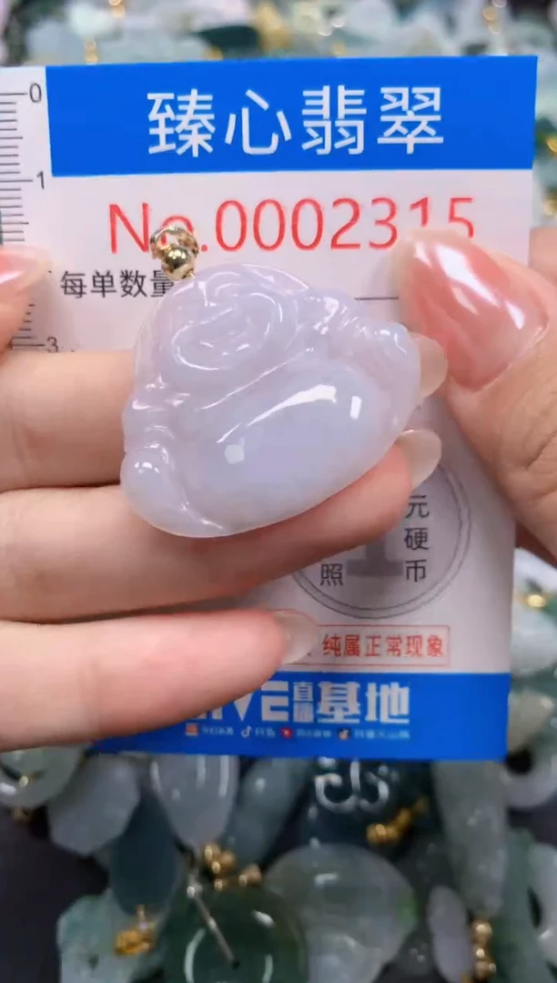 吊坠(不含链)未镶嵌翡翠2315