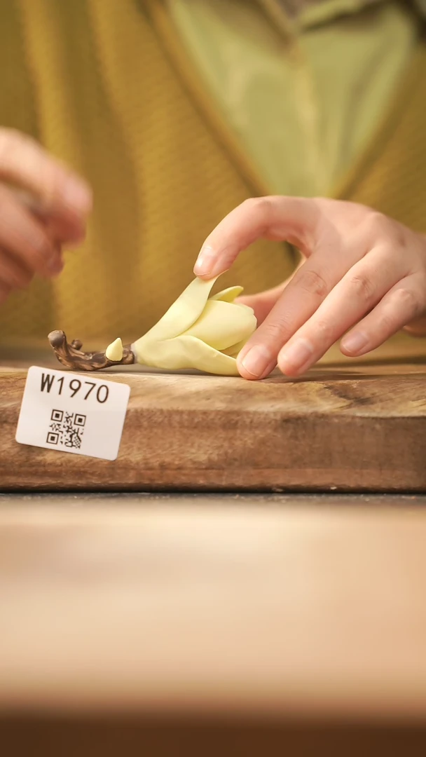 【闪购商品】【经典福利】/ 香插@@W1970