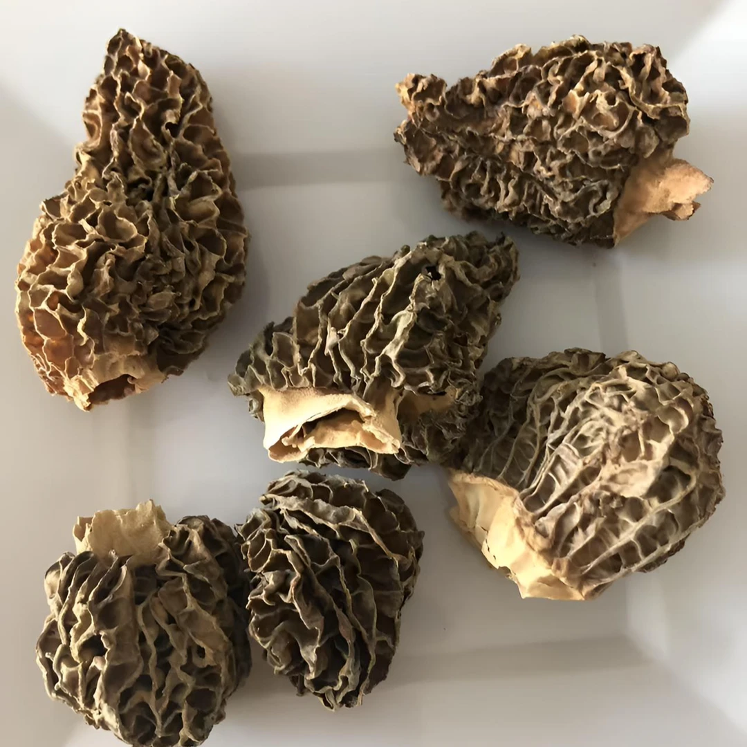 云南特产山货羊肚菌干货营养丰富煲汤鲜美