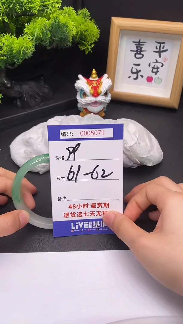 未镶嵌手镯翡翠0005071
