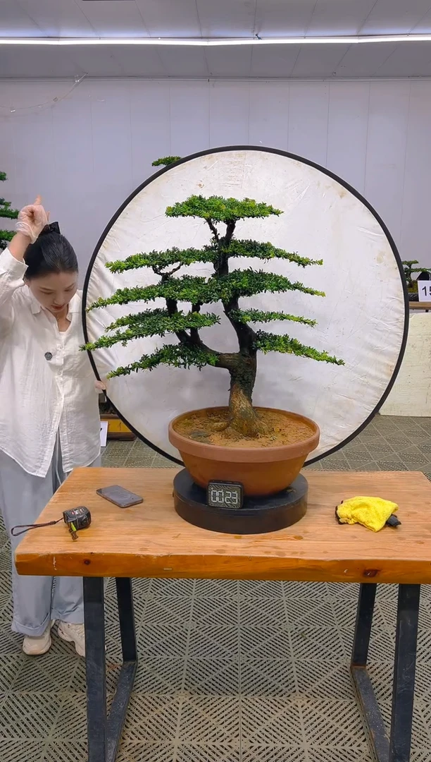 无花朵一物一拍一物一拍