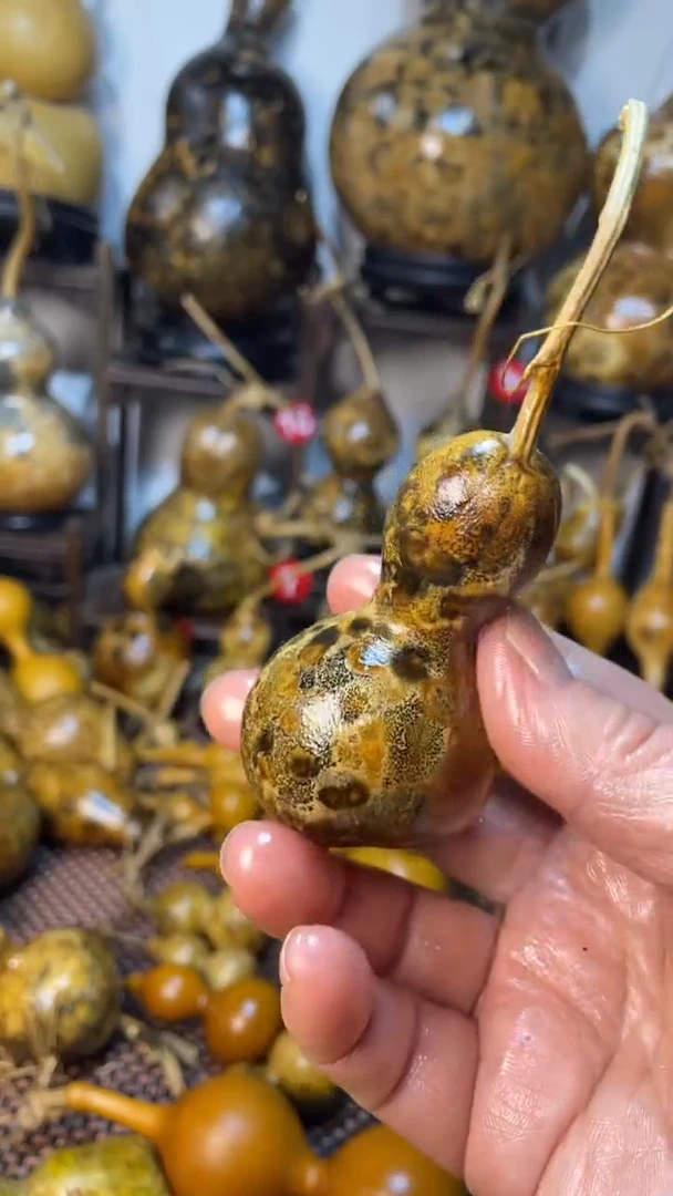 【闪购商品】葫芦葫芦葫芦葫芦