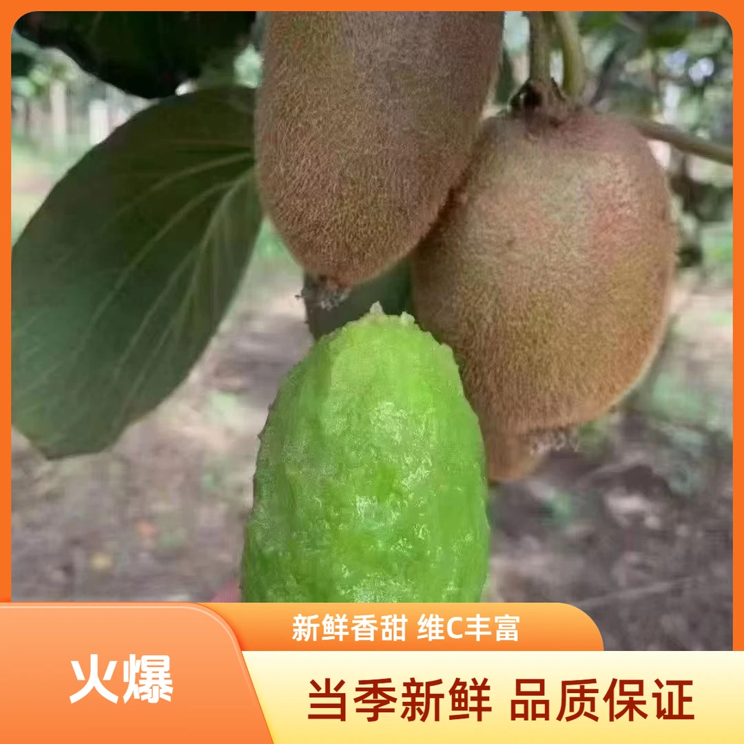 陕西绿心猕猴桃翠香当季新鲜水果香甜多汁维C丰富猕猴桃新鲜