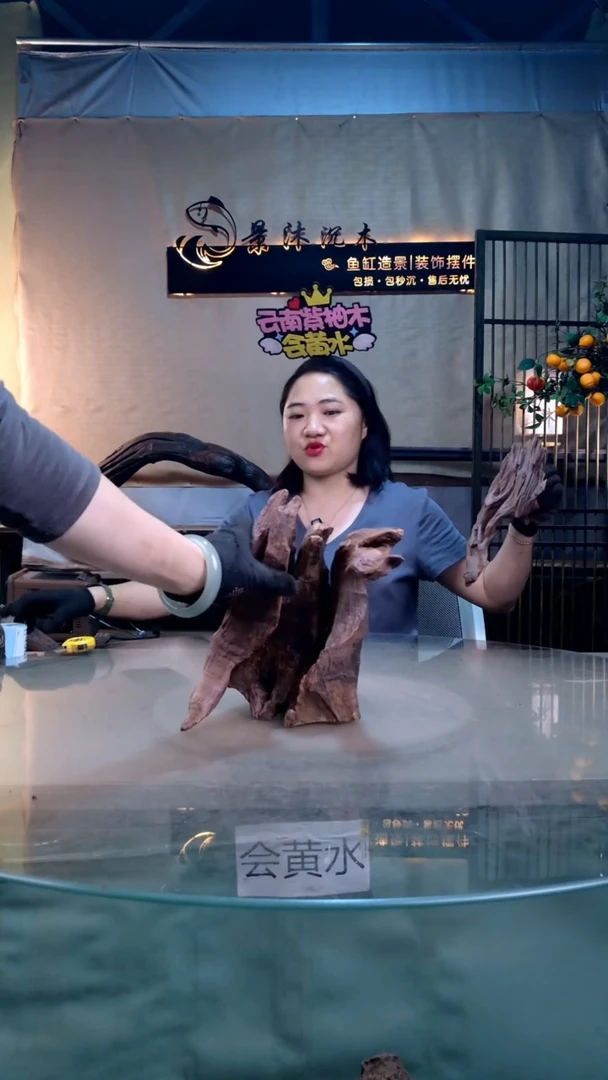 摆件景沐沉木456 22-15-25