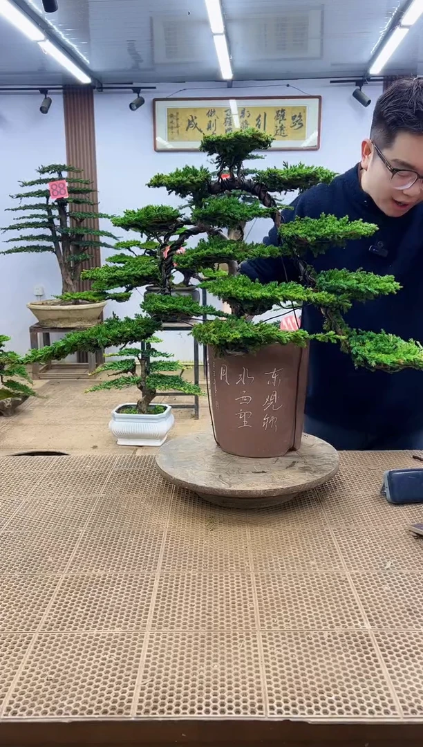 无花朵唯*0000000000000000