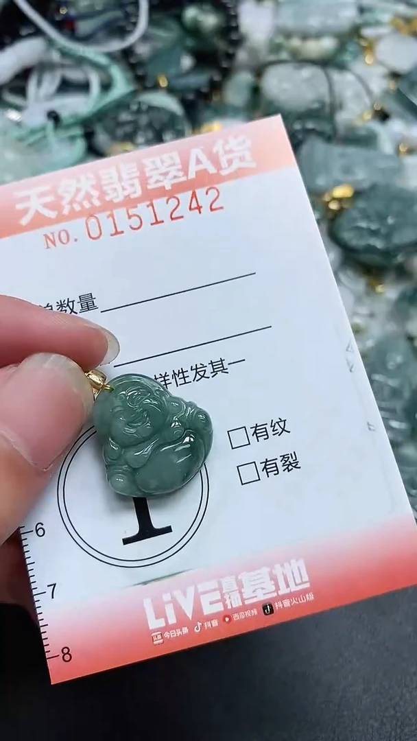翡翠未镶嵌颈饰闪购0151242