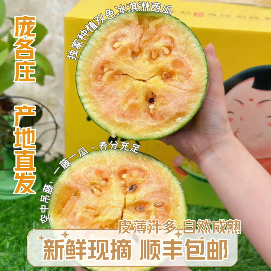 【顺丰次日达】北京大兴庞各庄小吊瓜 京彩8号彩虹瓜小西瓜 西瓜 7-15斤西瓜同城送新鲜北京市