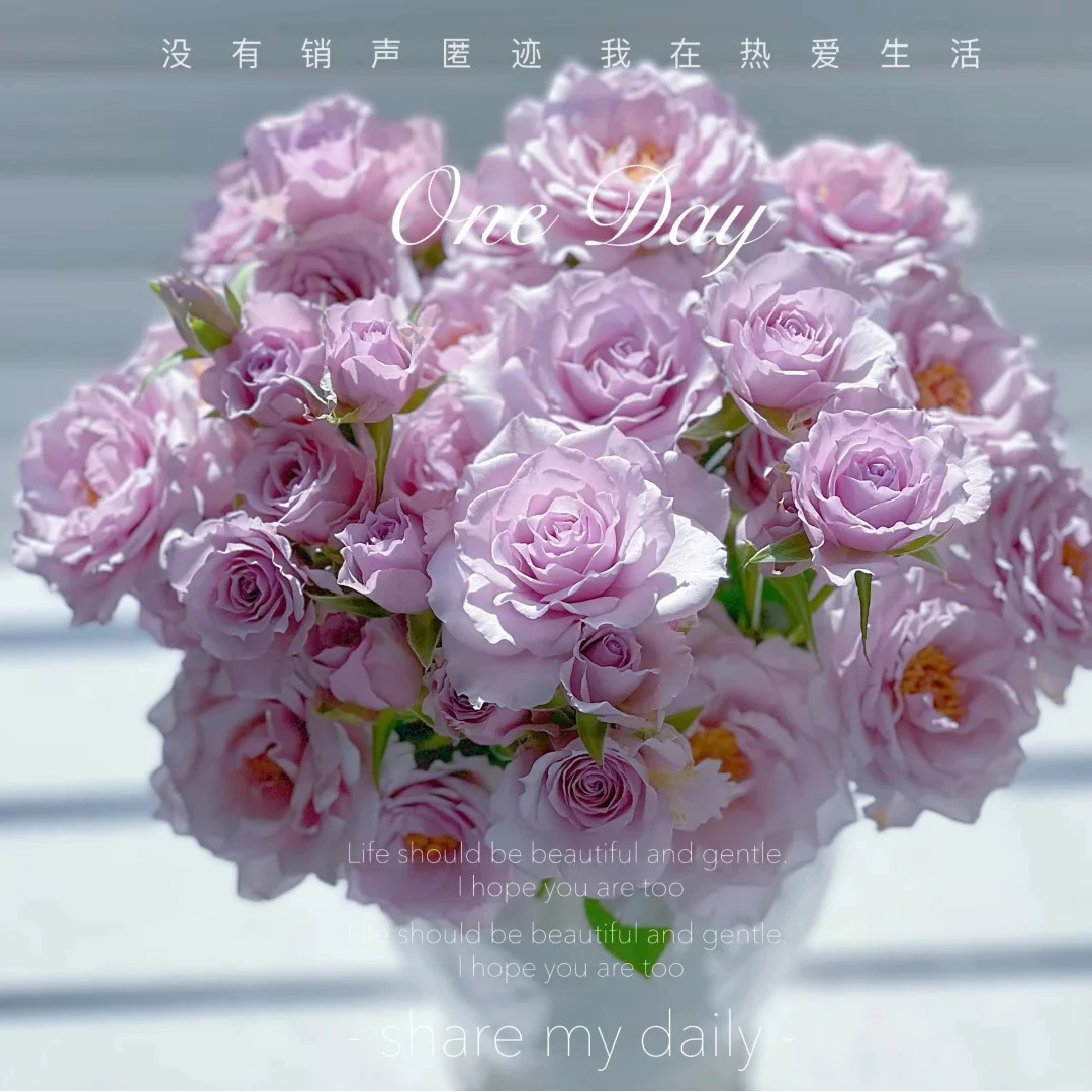 紫雾公主【清香多头】该品不耐运输，请凑单升级快递保护花花