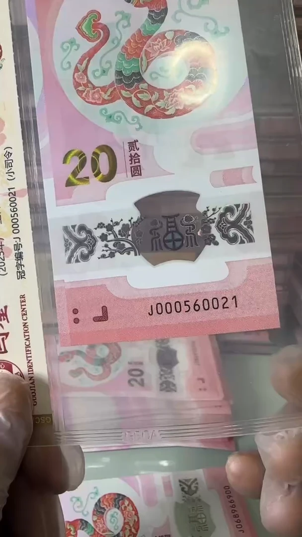 【闪购商品】塑料000560021-蛇钞单张！