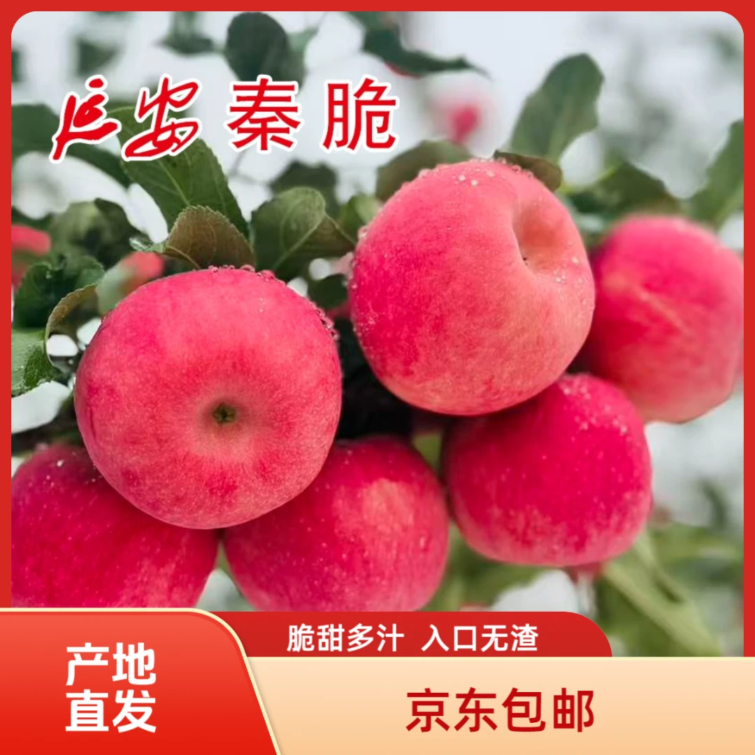 圣祥果业 延安秦脆苹果 脆甜多汁新鲜当季【产地直发】包邮【18颗装】