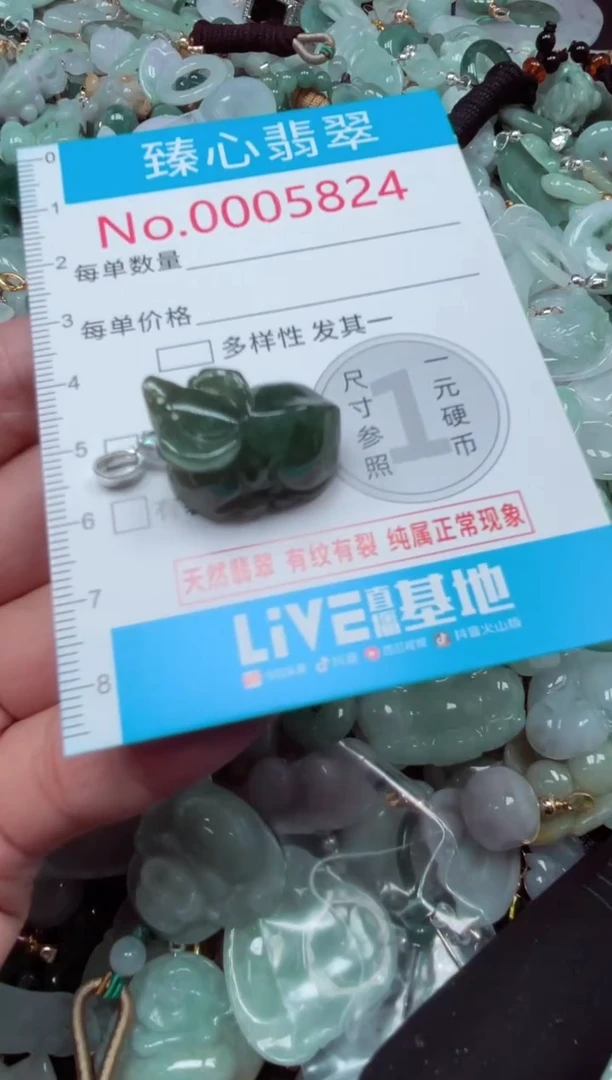 颈饰未镶嵌翡翠5824